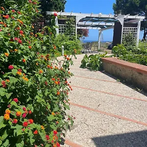 https://apartment-sophia.sicilyhotelsitaly.net